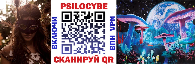 купить  цена  Новая Ладога  Галлюциногенные грибы мухоморы 